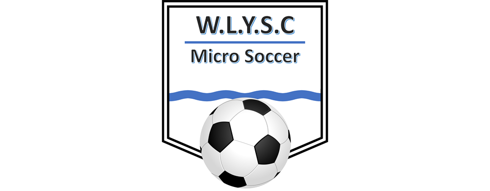 Micro Soccer